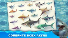 Hungry Shark World