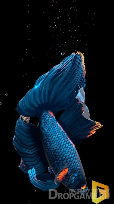 Download Betta Fish (Live wallpaper)  free for Android 