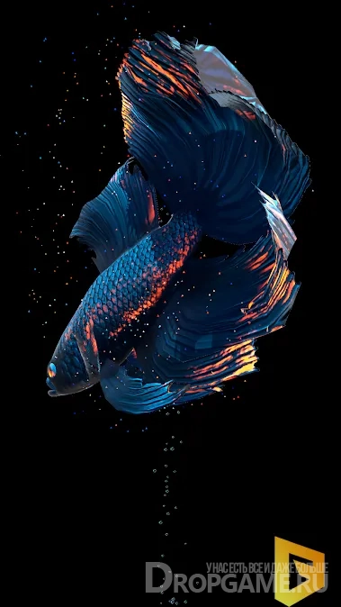 Animated Koi Fish Wallpapers - Top Free Animated Koi Fish Backgrounds -  WallpaperAccess