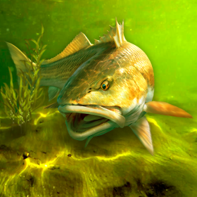 My Fishing World 1.15.14 (Мод деньги) Komodias