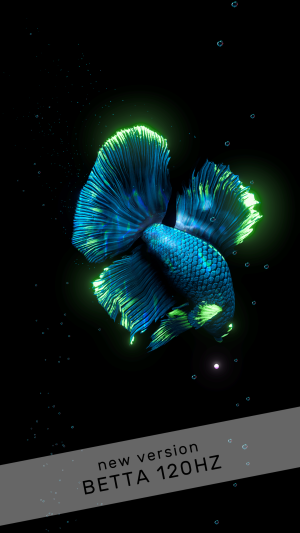 Betta Fish (Живые обои)