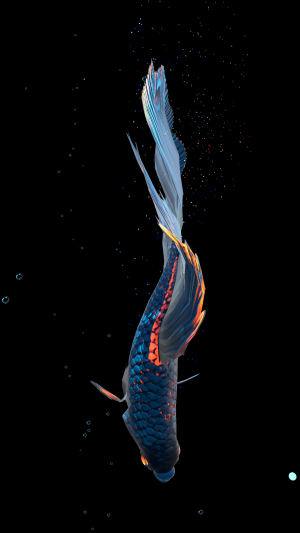 Betta Fish (Живые обои)