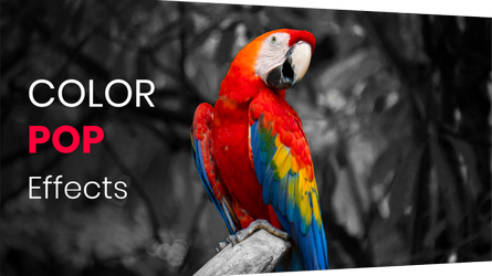 Color Pop Effects Photo Editor