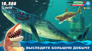 Hungry Shark World