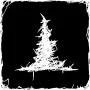 Magic Survival — Action