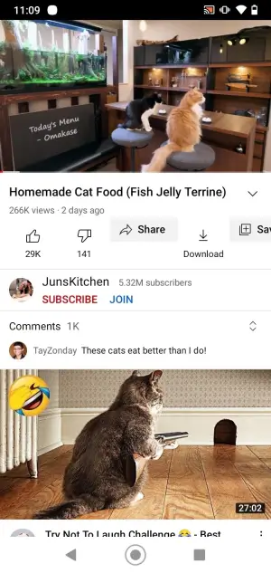 YouTube ReVanced