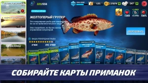 Fishing Clash: Sport Simulator — скриншот 3