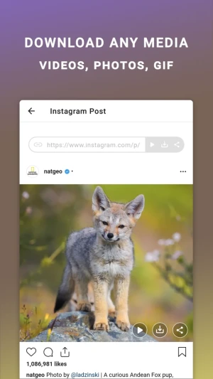 Friendly For Instagram — скриншот 2