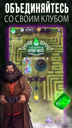 Harry Potter: Puzzles & Spells — скриншот 4