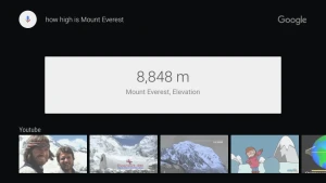 Google app for Android TV — скриншот 3