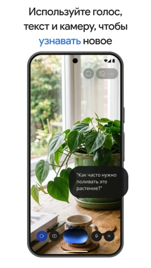 Google Gemini — скриншот 2