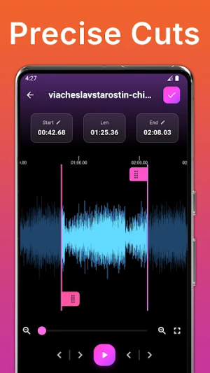 MP3 Cutter and Merger – SOMIX — скриншот 2