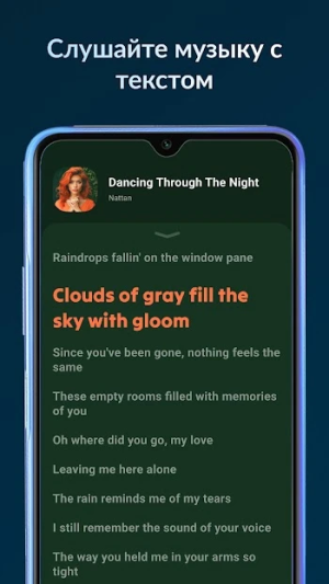 Lark Player: Music Player — скриншот 4