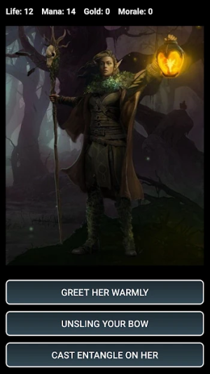 Dungeons and Decisions RPG — скриншот 2