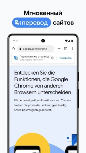 Google Chrome — скриншот 3