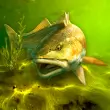 My Fishing World — Simulations