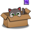Oliver the Virtual Cat icon