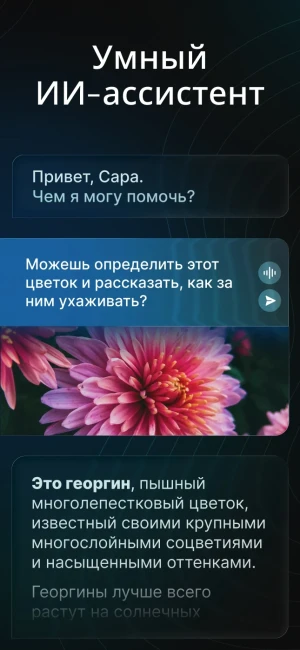 Чат-бот Nova на базе ИИ — скриншот 2