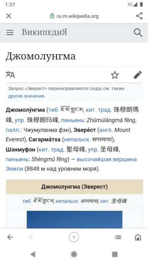Google Go — скриншот 3