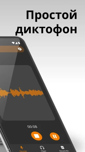Simple Voice Recorder — скриншот 4