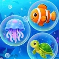 Bubble Clue Sort - Word Match icon