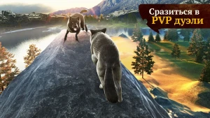 The Wolf: Игра про животных — скриншот 4